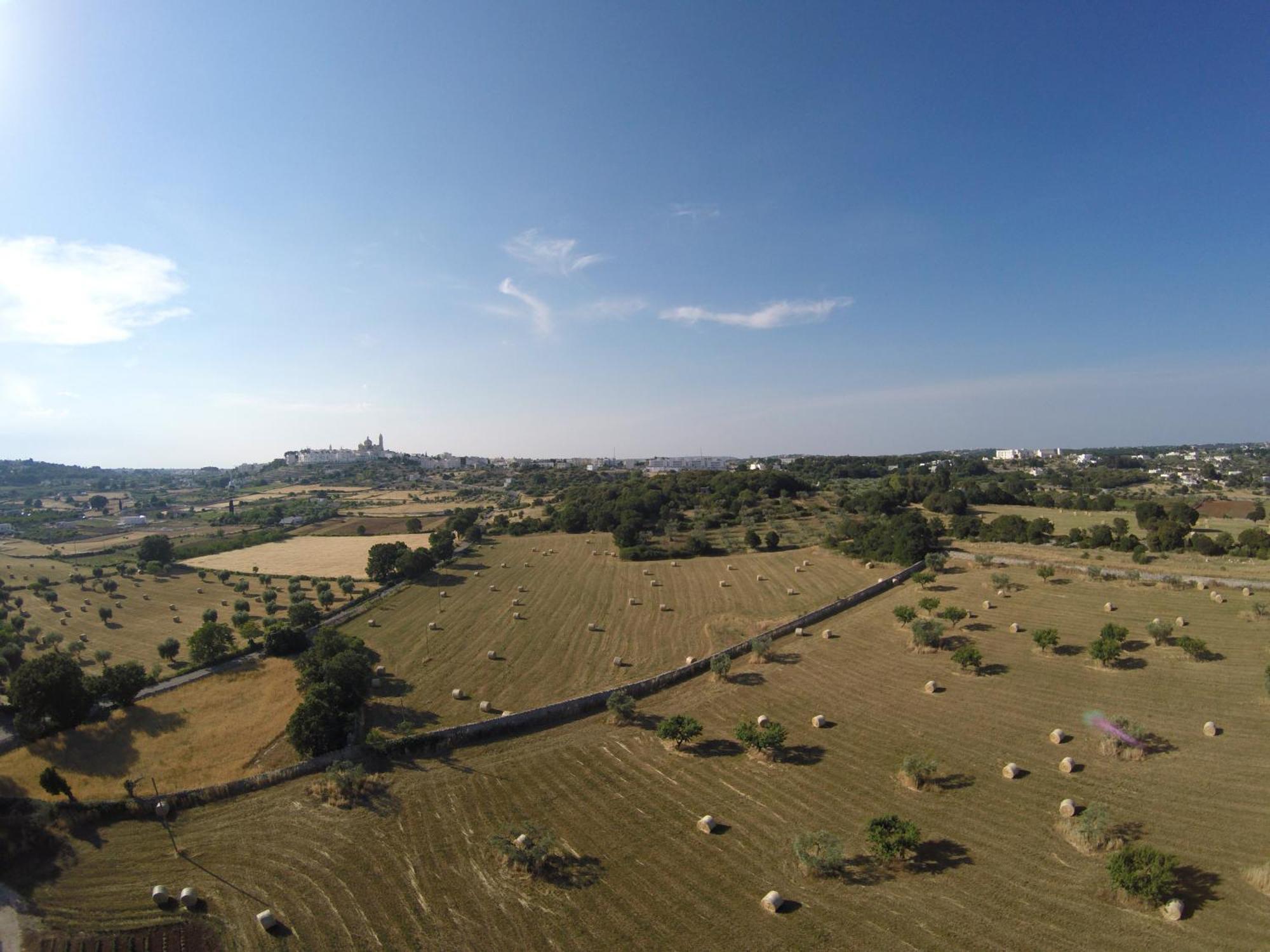 לוקורוטונדו Agriturismo Masseria Aprile מראה חיצוני תמונה